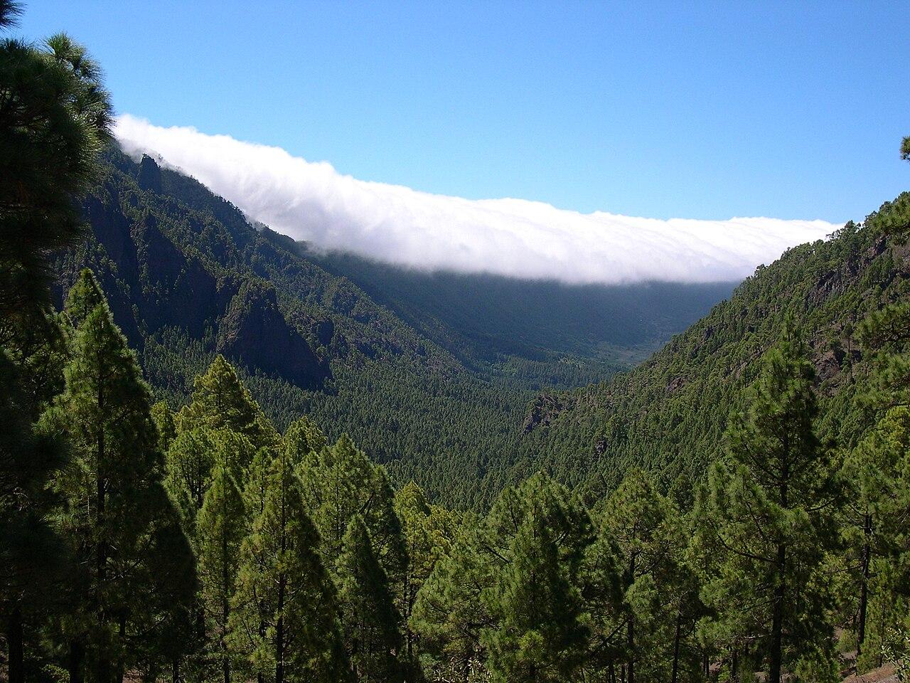 GR131 La Palma - El Bastón