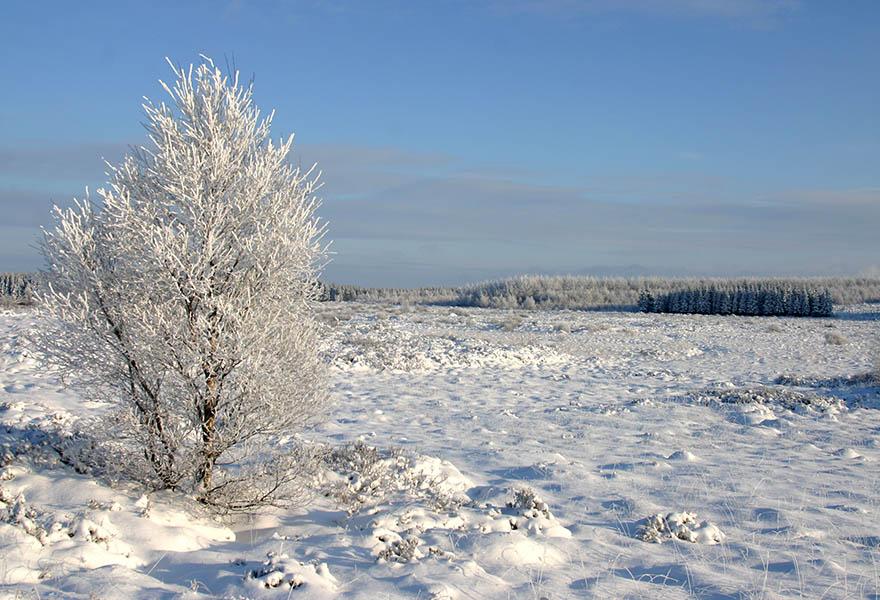 GR56 - Ostbelgien-Weg